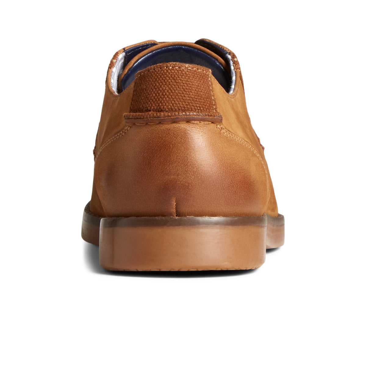 Sperry Classic - Newman Oxford Dress Shoe Medium Beige - 2