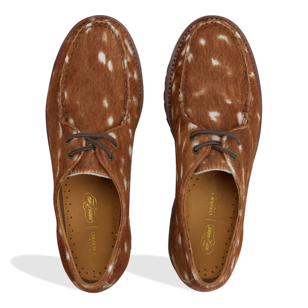 Sperry Popular - Cow Print Captain's Oxford