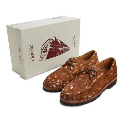 Sperry Popular - Cow Print Captain's Oxford