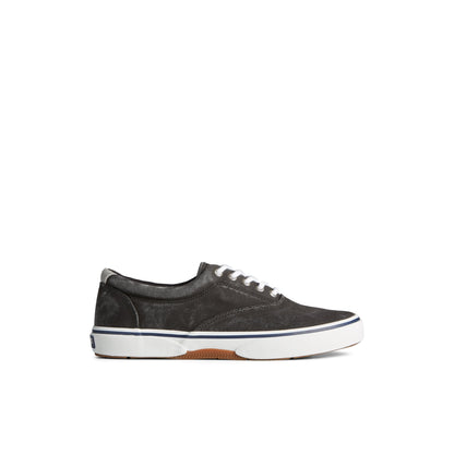 Sperry Recommended - Halyardcvost Black Men's Sneakers