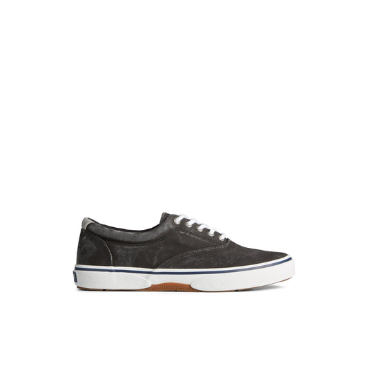Sperry Recommended - Halyardcvost Black Men's Sneakers