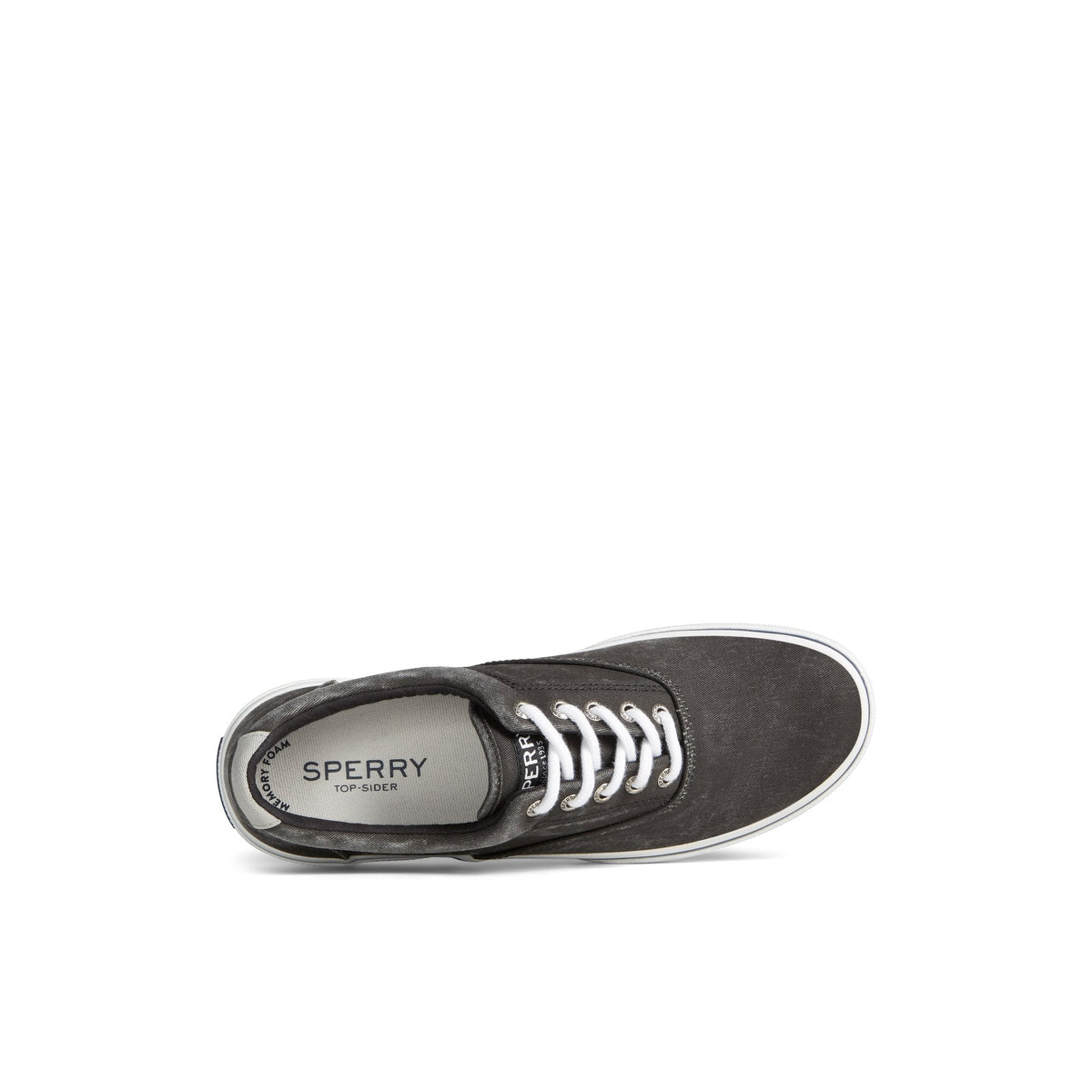 Sperry Recommended - Halyardcvost Black Men's Sneakers