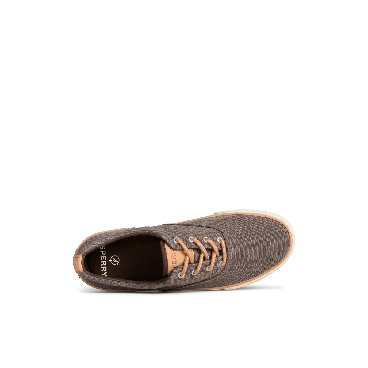 Sperry Premium - Striper II Washed Canvas CVO Sneaker Brown