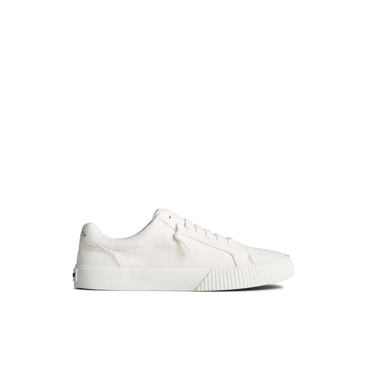 Sperry Everyday - Bermuda SeaCycled™ Canvas Sneaker White
