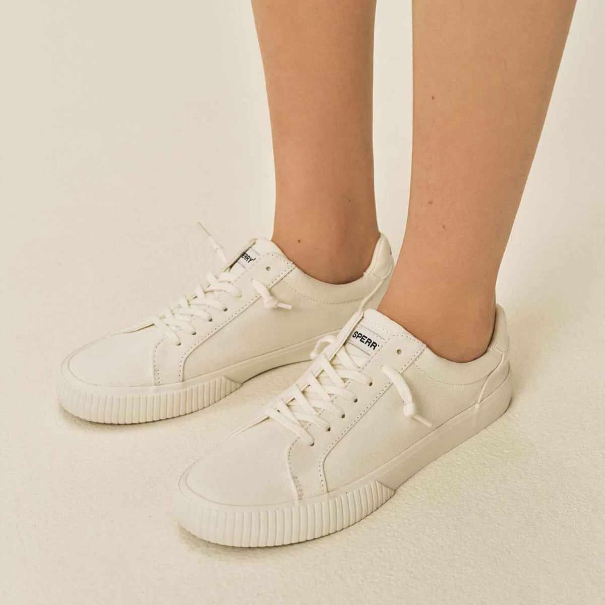 Sperry Everyday - Bermuda SeaCycled™ Canvas Sneaker White
