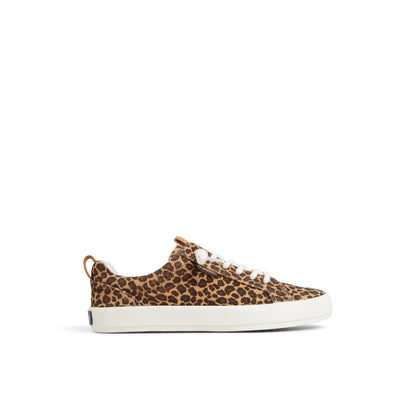 Sperry Trending - Bermuda Beach Sneaker Brown Primary Multi